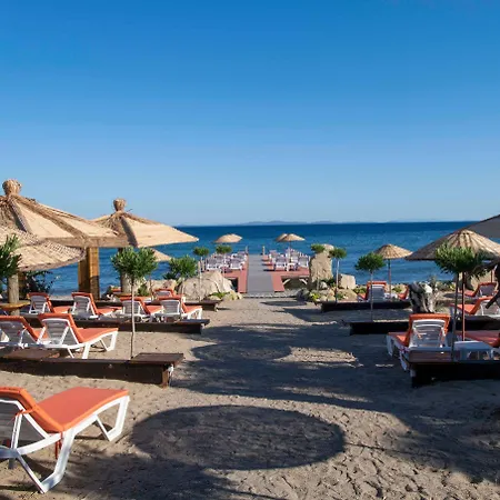 Antique Beach And Bungalow