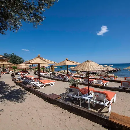 Antique Beach And Bungalow Assos