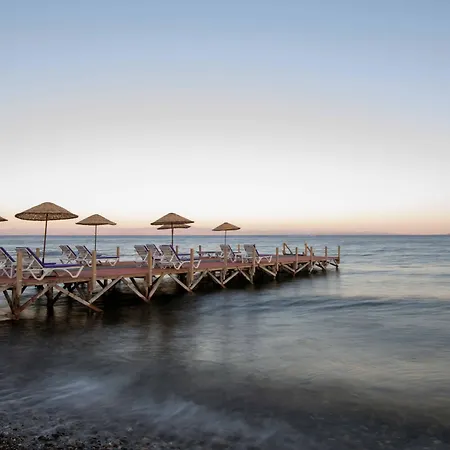 Antique Beach And Bungalow ホテル Assos