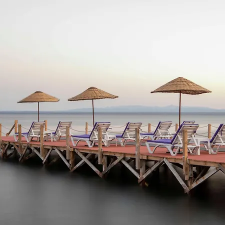 ホテル Antique Beach And Bungalow 3*