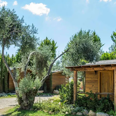 Antique Beach And Bungalow