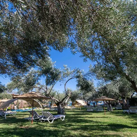 Hotel Antique Beach And Bungalow