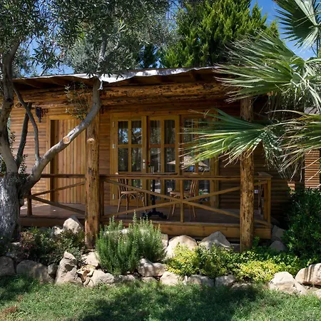 Antique Beach And Bungalow