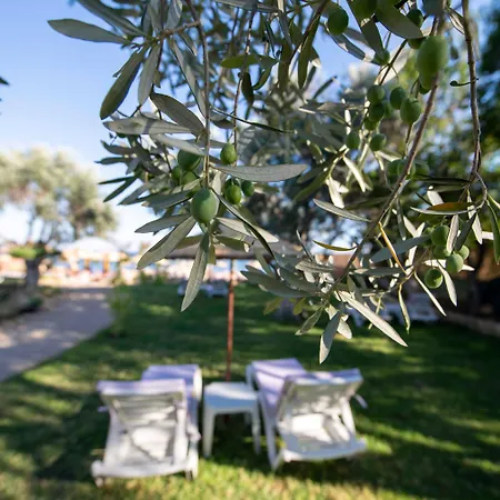 Antique Beach And Bungalow Assos