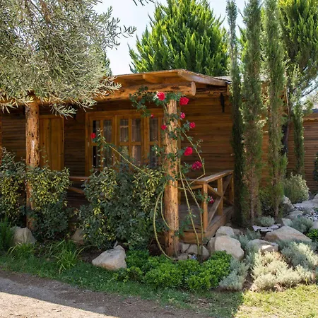 Antique Beach And Bungalow Hotel Assos