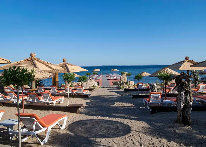 Antique Beach And Bungalow