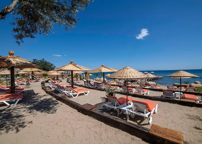 Antique Beach And Bungalow Assos