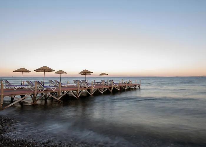 Antique Beach And Bungalow Hotel Assos