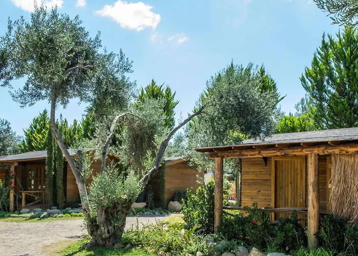 Antique Beach And Bungalow
