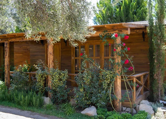 Antique Beach And Bungalow Assos