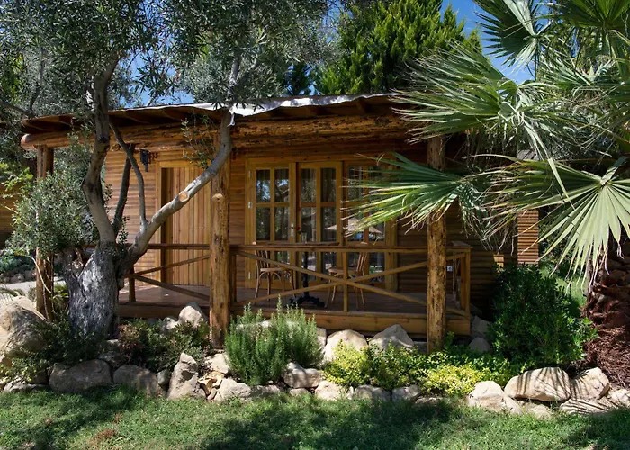 Antique Beach And Bungalow