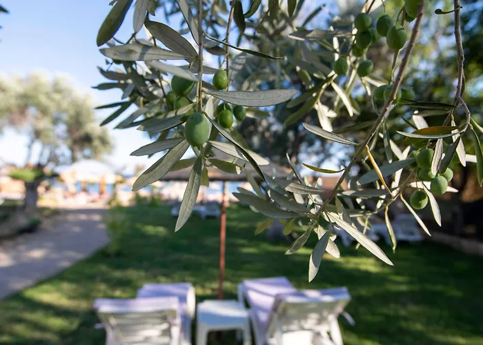 Antique Beach And Bungalow Assos